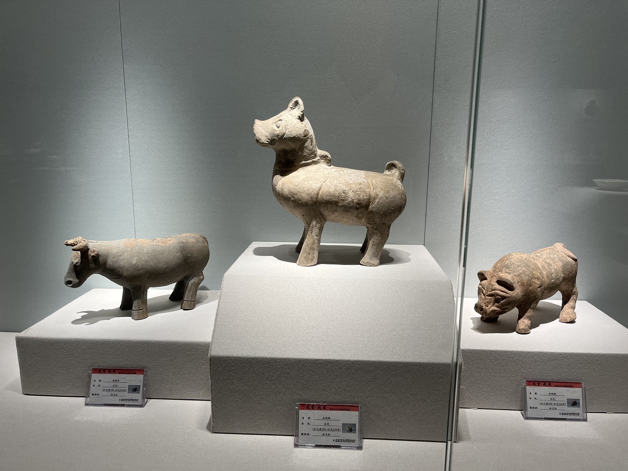 深圳翰熙古陶瓷博物馆第二届“我爱·我藏”古陶瓷展览开幕