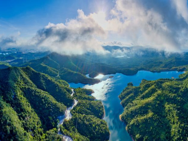 强化责任落实，坪山区发布2024年2号林长令