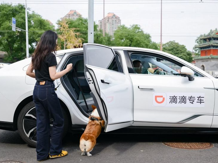 滴滴携手网约车品牌大使潘展乐升级体验，满足宠物出行等个性化需求