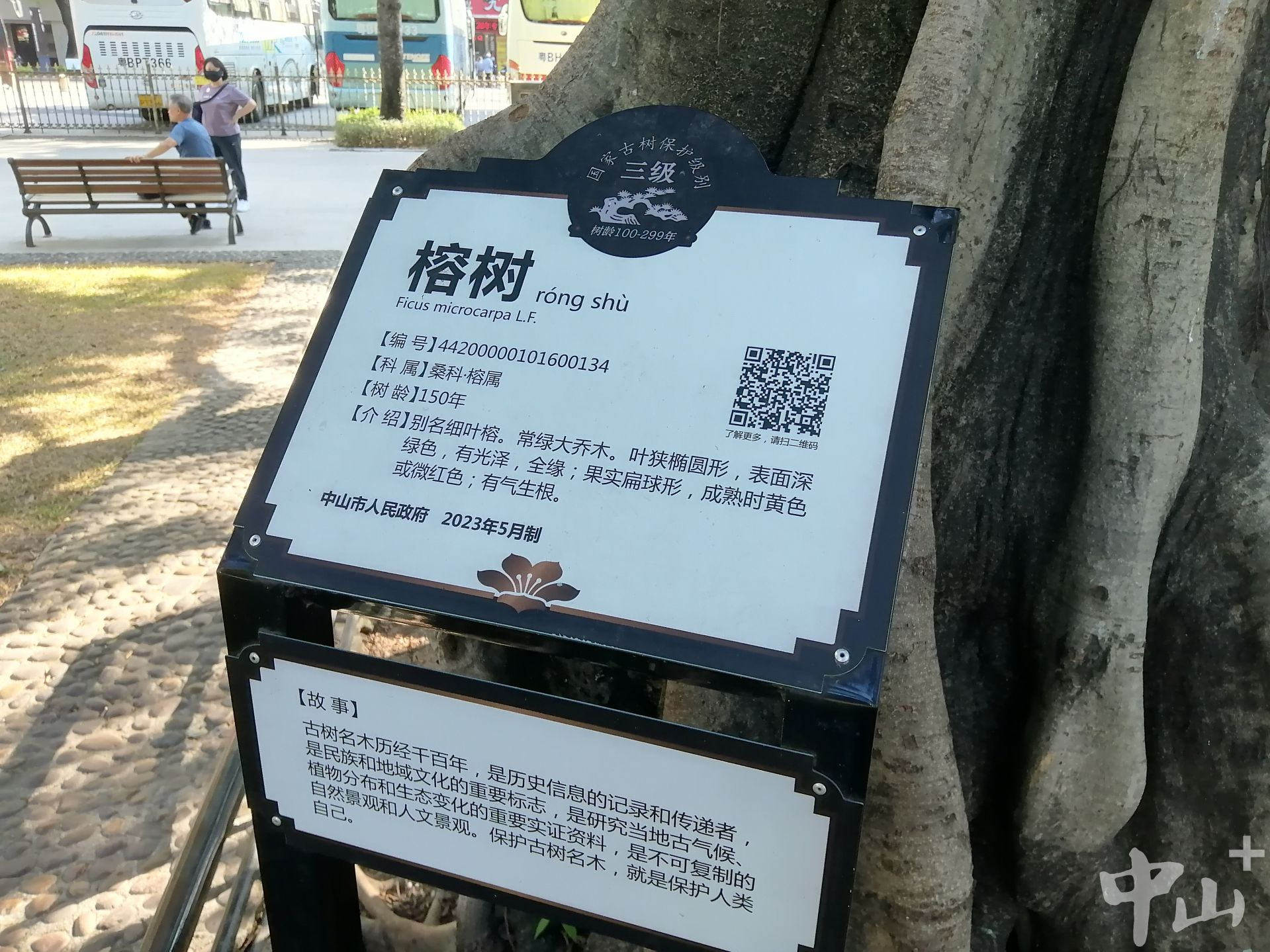中山：“一码当先”提升城市管理公众参与度 | 共建美丽中山