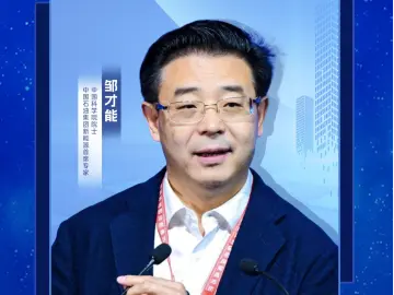 专访｜邹才能：从“浪花”发展到“浪潮”，新能源进入黄金发展期