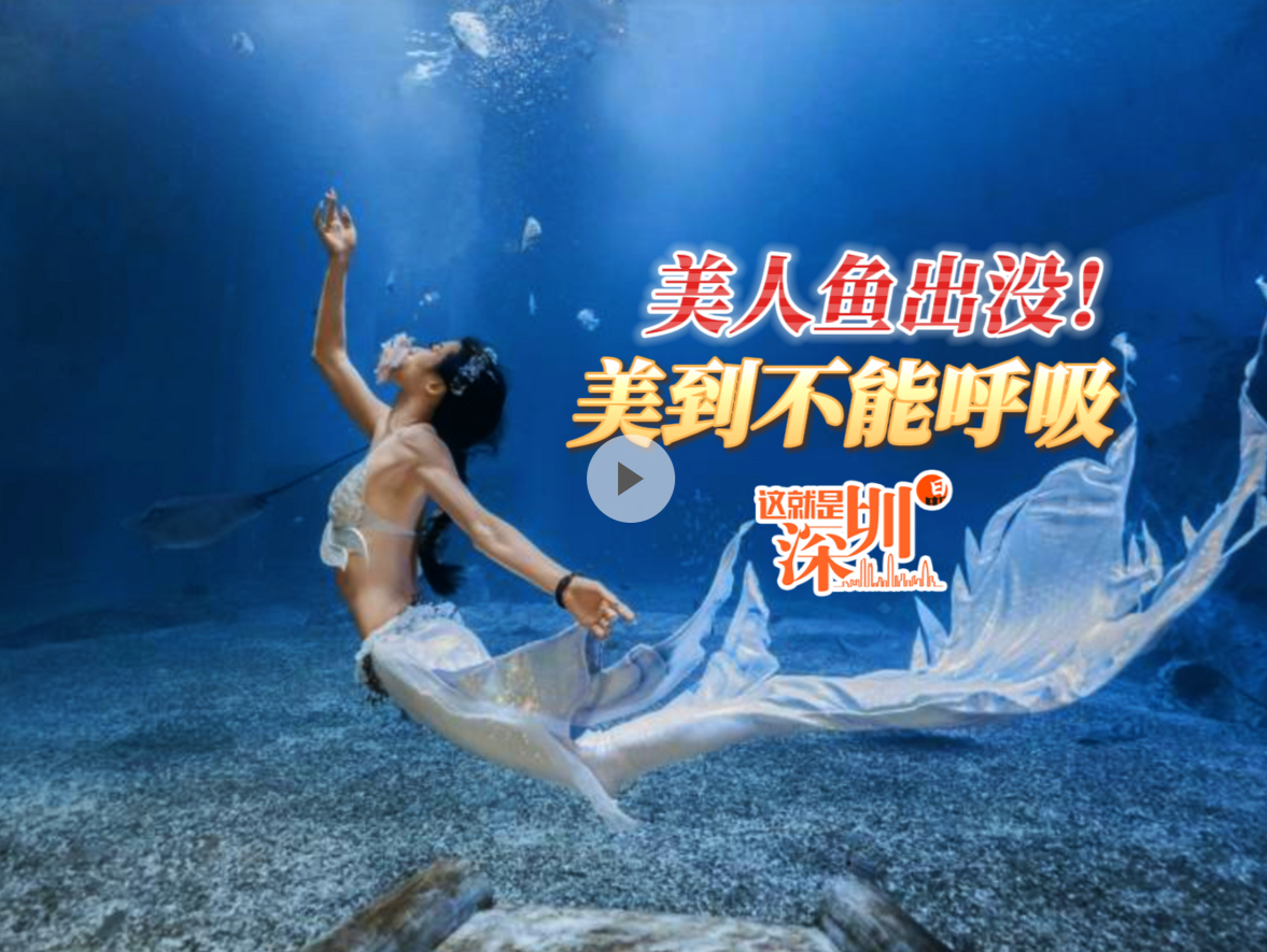 这就是深圳丨美人鱼出没！美到不能呼吸