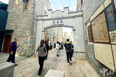 中山市政协：深入镇街开展专项民主监督，加快推进“百千万工程”走深走实