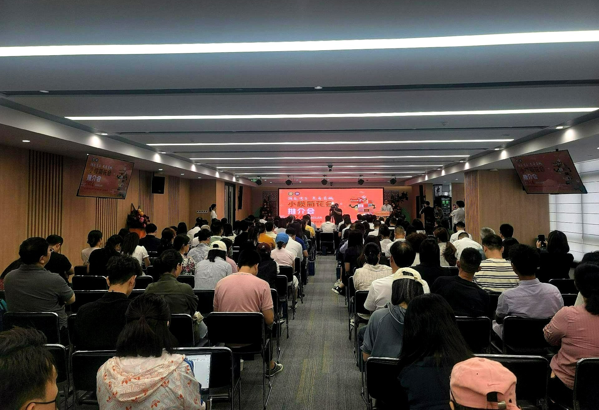 以花为媒、以菊会友！中山小榄菊花会将于11月29日开幕
