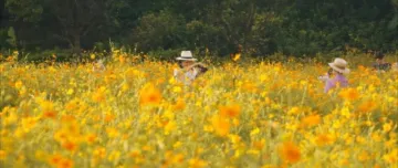 来南山“捡秋”，这5个地方美翻了！