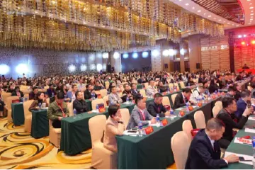 “隐形冠军”培育专家为中山企业支招