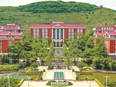 深职大：党建引领学校高质量发展