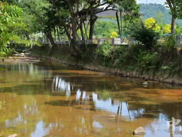 “百千万”攻坚战•中山治水丨五桂山街道：写好“水文章” 做活“水经济”