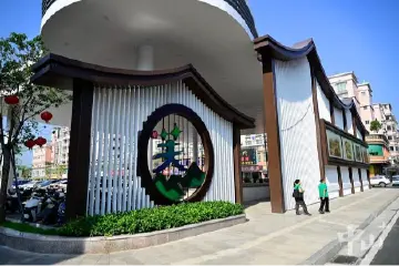 中山板芙镇扎实推进“百千万工程”，美丽圩镇建设见成效