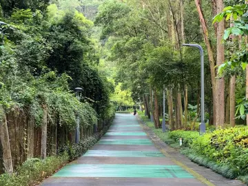 焕新亮相！南山6条特色步道，惬意又出片
