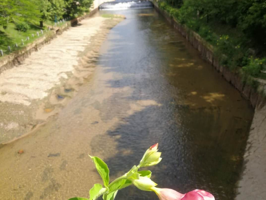 福田河（外一首）丨人文天地·南海潮