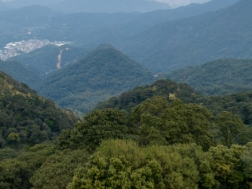 红薯情 | 南海潮