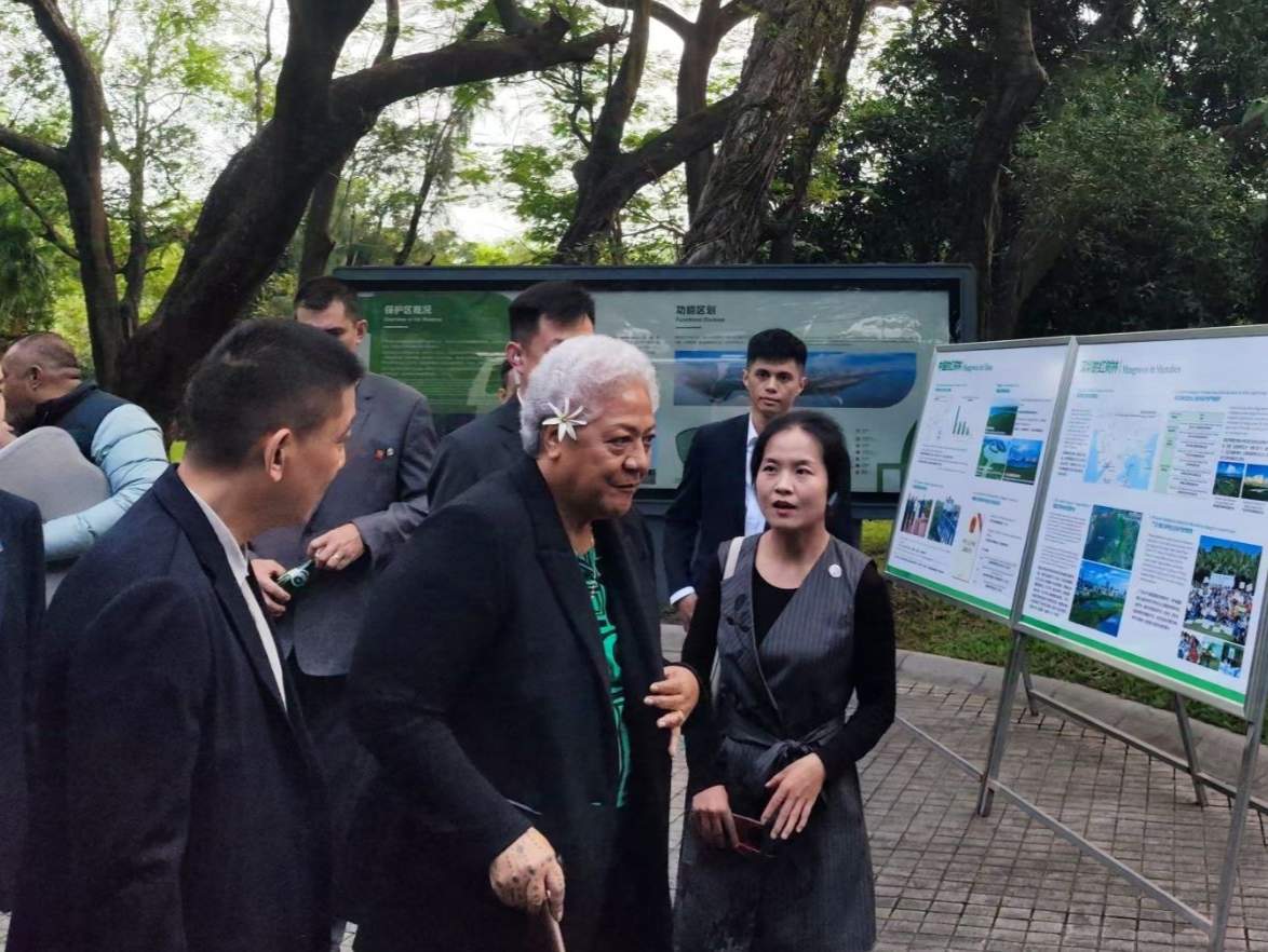 萨摩亚独立国总理菲娅梅访深：盛赞福田红树林“这是真正的盛宴！”