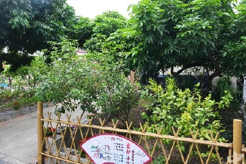 快评丨有“颜”又有“实”！家门口的“四小园”为美丽农房加分