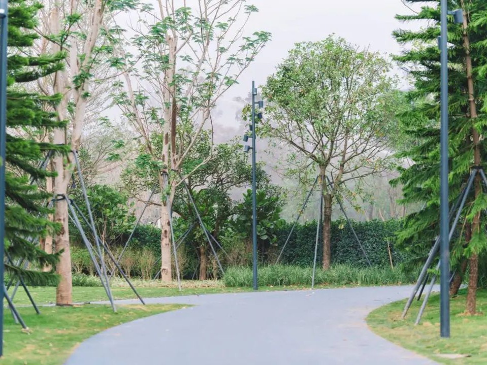 深圳人才公园二期全面解锁，快来打卡吧！