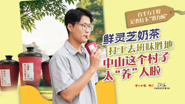 鲜灵芝奶茶，打工去班味胜地……中山这个村子太“养”人啦｜打卡“百千万工程”