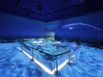 大鹏·四季滨海田园：构建从传统农耕到现代农业科学的探索之旅