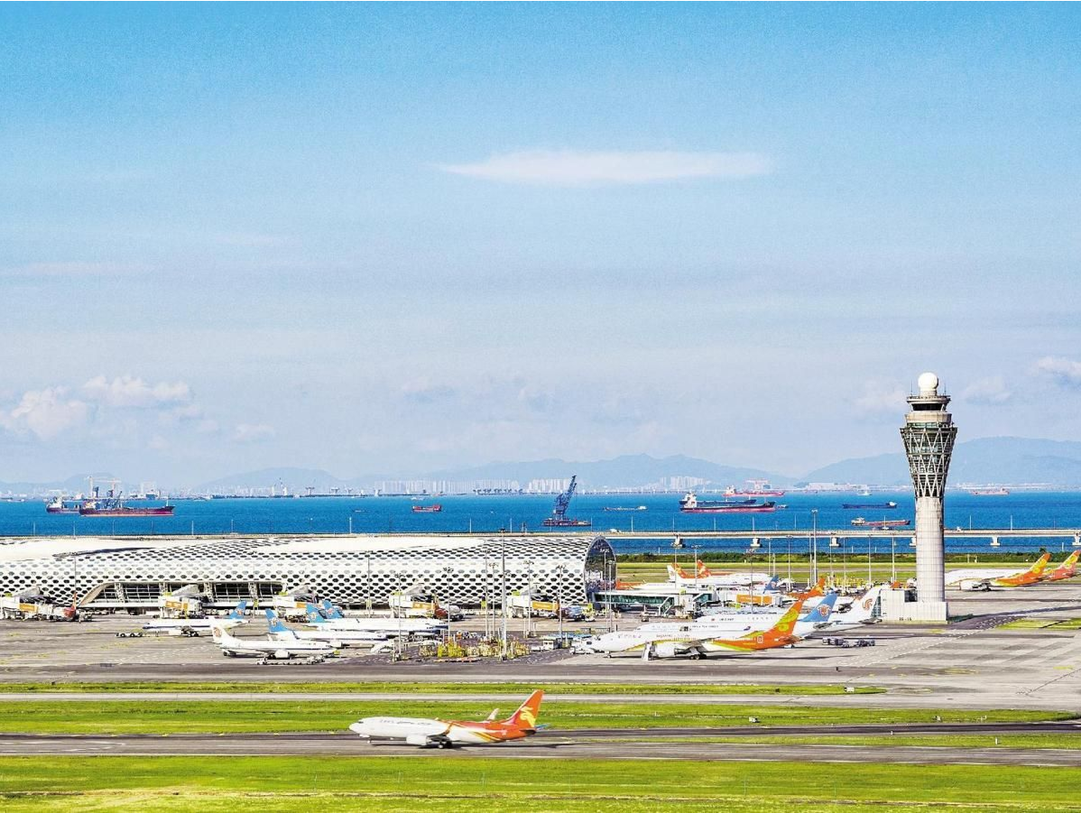 不想延误变“鸽王”？这片空域要“干净”