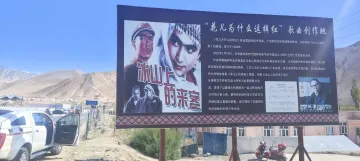 花儿为什么这样红