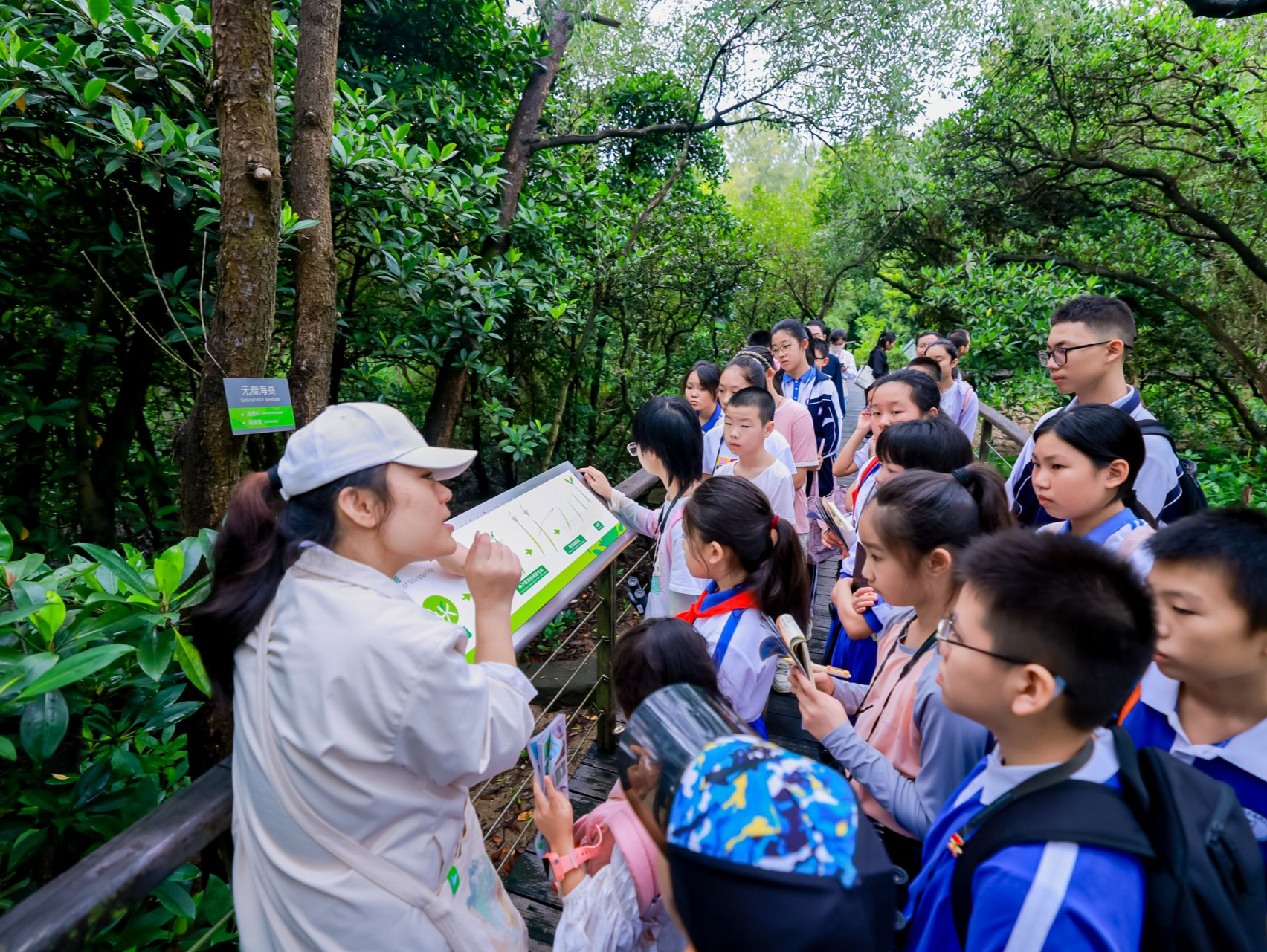 “绿美广东·阅读自然”青少年生态写作活动在福田红树林保护区举行