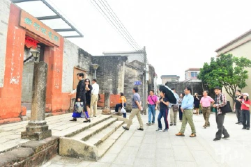 文人雅士齐聚南朗街道，金秋诗韵唱响稻田乡间