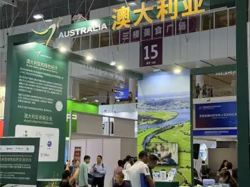 在高交会，看到“链接”的力量 | 高交会观察