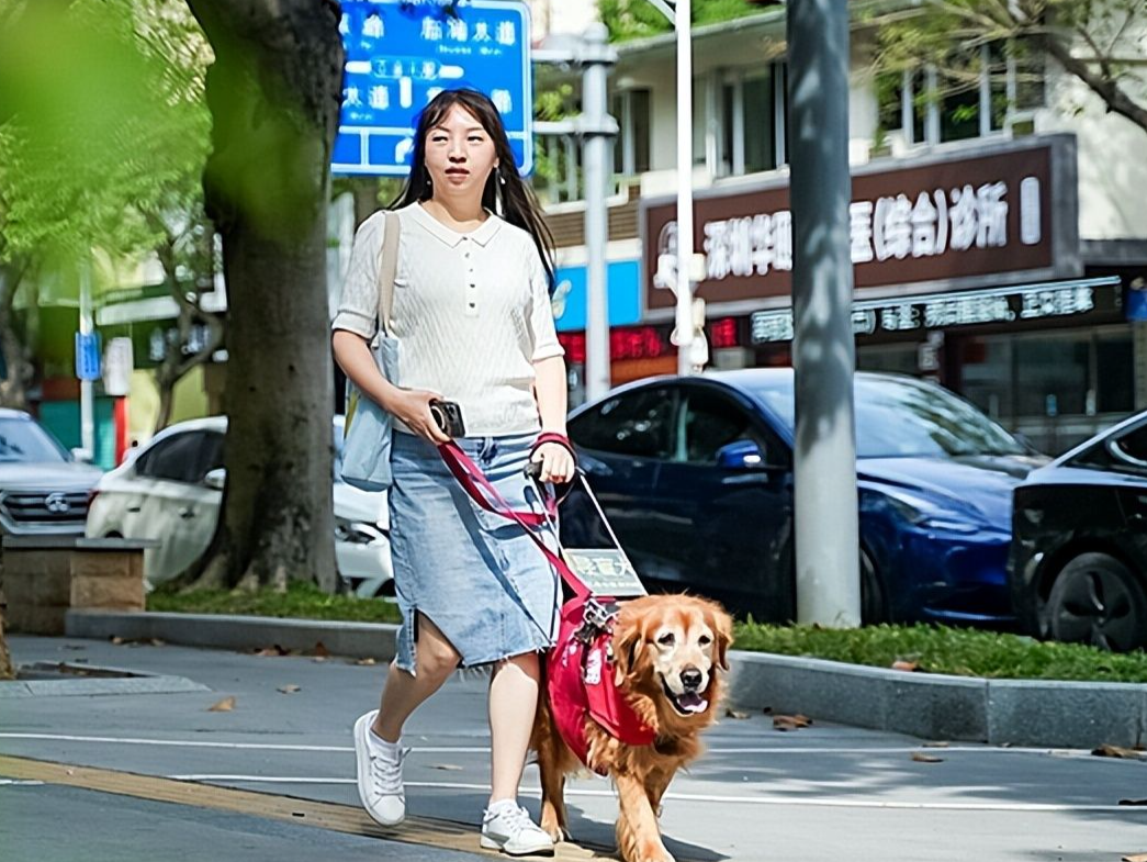 “暖”视频《为导盲犬“呆萌”过生日》引关注，竟是视障主人自己摄制