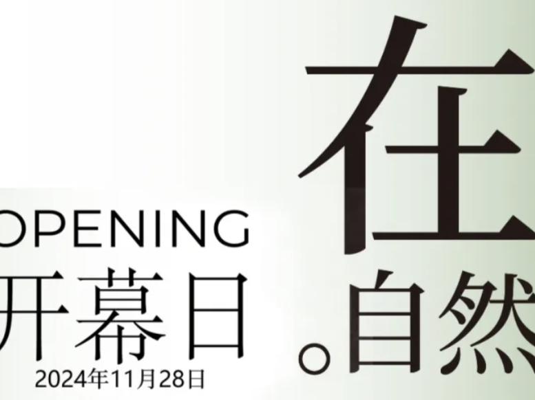 第二届深圳·光明国际公共艺术季开幕