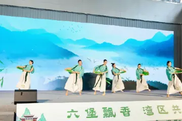 共享湾区机遇，广西苍梧县在中山举办推介会