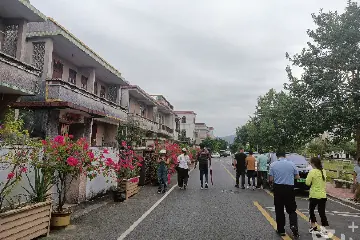 “百千万工程”镇街巡礼② | 南区街道：“一房一案”推动农房风貌从“一片美”向“全域美”提升