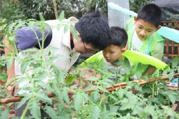 中山东区“齐妙趣虫”科普基地启用，工作日时段免费开放