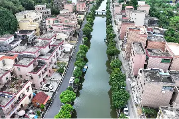 “百千万”攻坚战·中山治水丨板芙镇：再现水清岸绿，村民找回幸福感