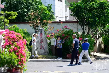 见证农房换“新颜”，《周五民声直播室》节目走进南区街道曹边村