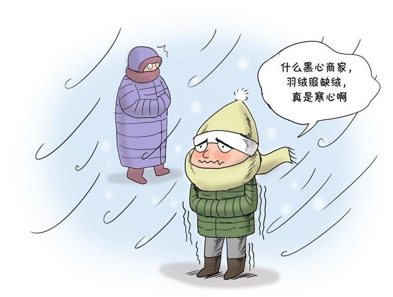 漫话 | “羽绒”无绒，于法不容