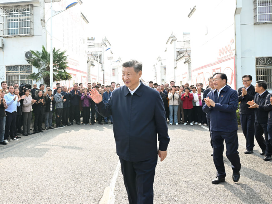 习近平在湖北考察调研