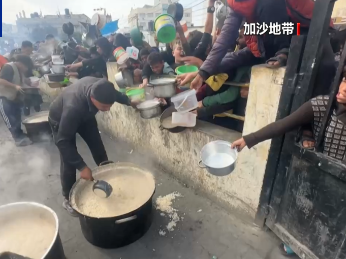 世卫组织：加沙地带食品价格上涨312% 