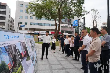 中山将推广“华柏路经验”，打造宜居静美的公共空间