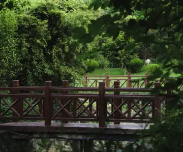 光影里和谁定格｜人文天地·南海潮
