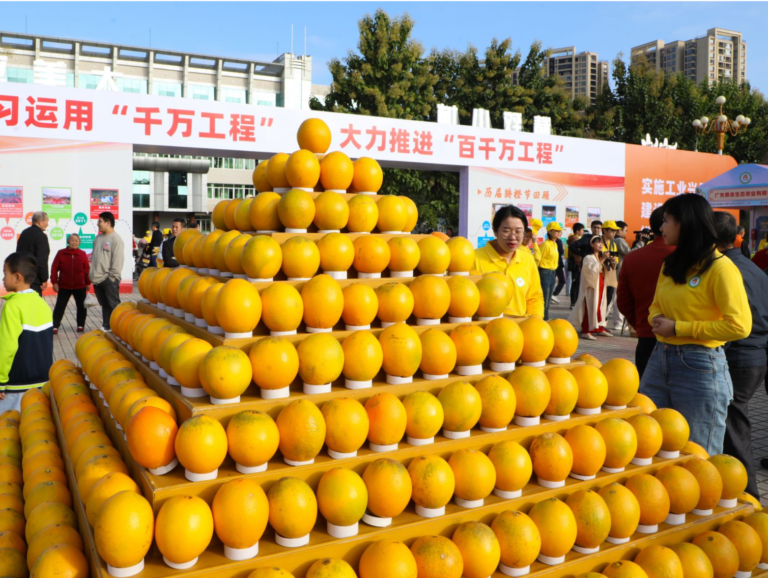 “橙”心助农，莞企受邀助梅州平远脐橙产业发展