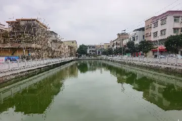 “百千万工程”镇街巡礼 ⑫ | 塘水变“糖水”，古镇这村一塘两岸的街坊觉得有点甜