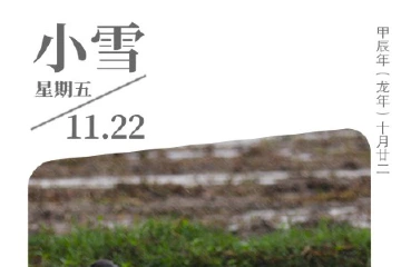 今日小雪｜秋花看不绝，沙鸟听忘归