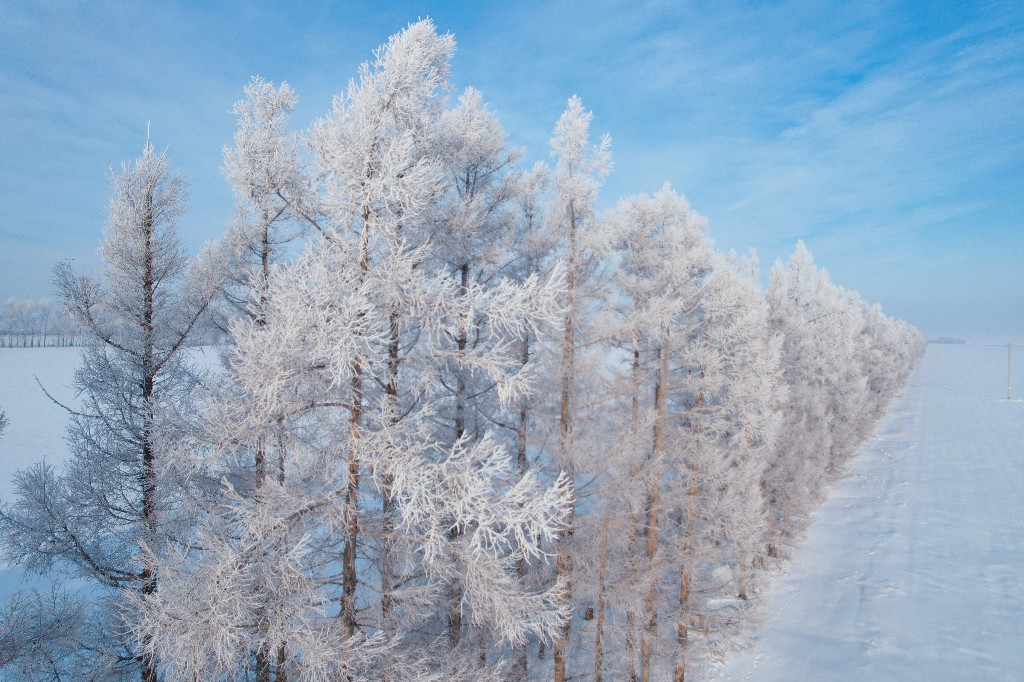燃情冰雪季｜雾凇“现身” 绝美景色宛如人间仙境