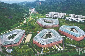 “大桥时代·走读湾区”系列综述｜“链主”引领 “雁阵”齐飞