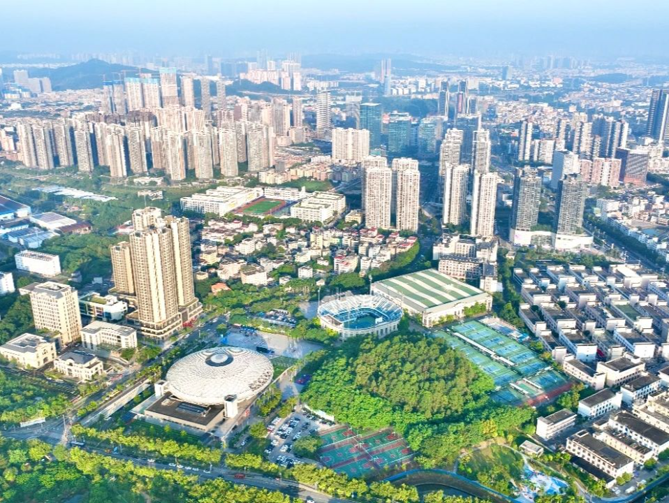 坪山区成立全市首个区级广告协会
