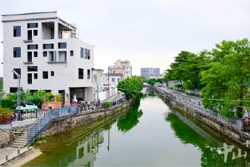 “百千万工程”镇街巡礼⑱丨东凤镇：中山“北大门”打开“净、绿、美”新空间