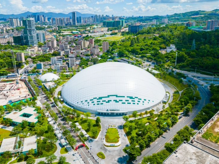 绽放坪地魅力！红旗新能源之夜在龙岗区坪地街道举行