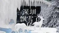 在场｜深圳飘“雪”了