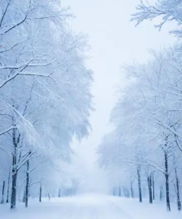 初雪（外一首）
