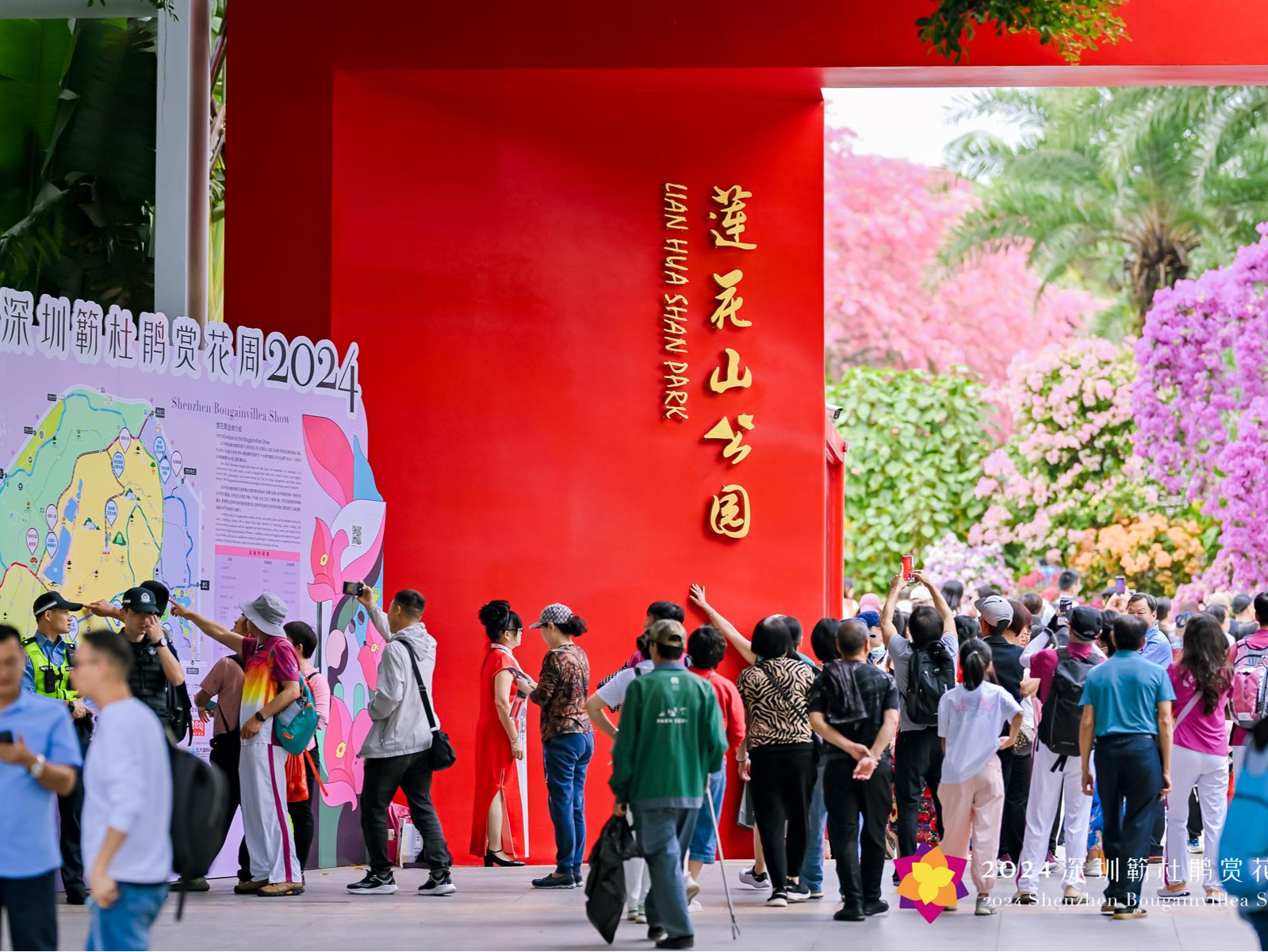 “志愿红”辉映簕杜鹃，深圳簕杜鹃赏花周精彩上新