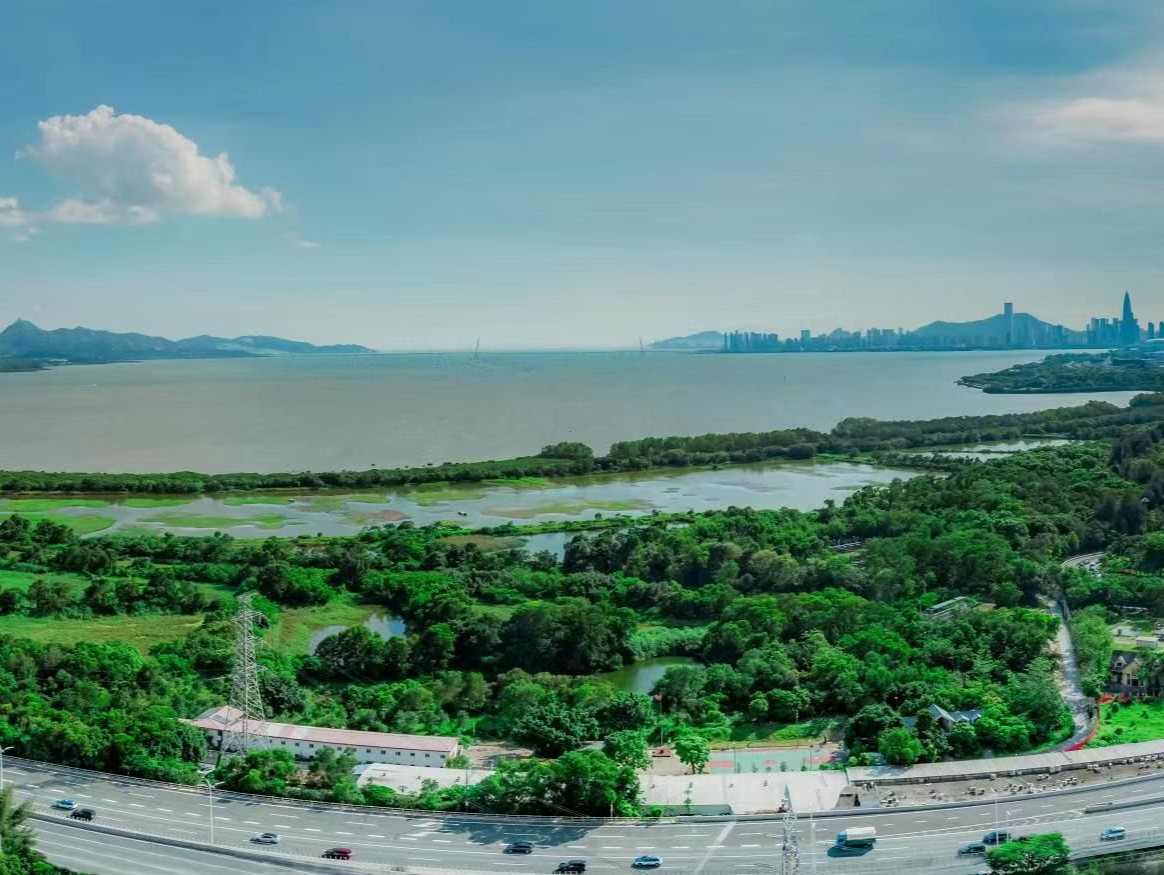深圳守护“地球之肾”与生物多样性友好很科技范